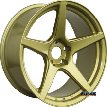XXR - 535 - Gold Gloss